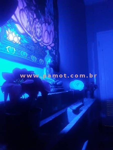 Foto da equipe Studio De Massagem
